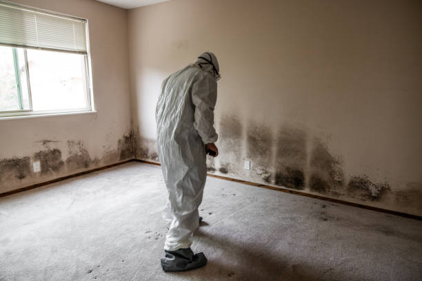 Best Residential Mold Removal  in Oklahoma, PA