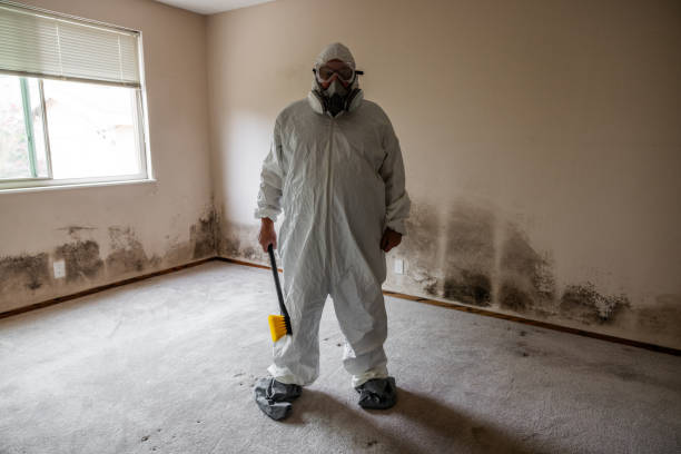 Best Mold Damage Repair  in Oklahoma, PA