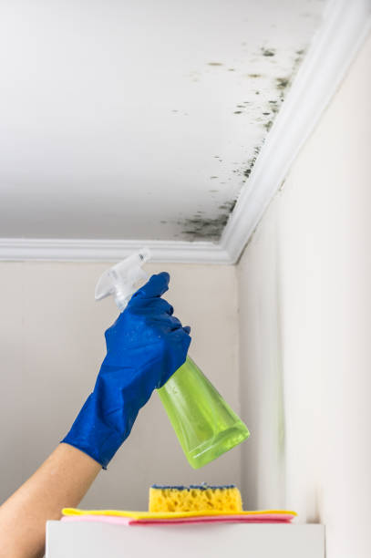 Best Toxic Mold Removal  in Oklahoma, PA