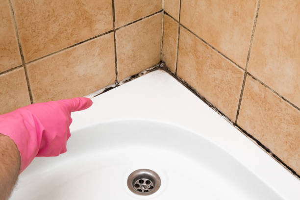 Best Attic Mold Removal  in Oklahoma, PA
